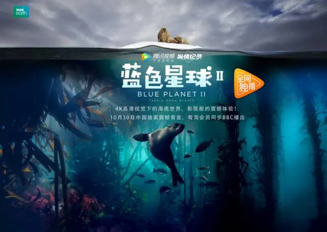 柚木 -  姐妹母 孕妇剧照1