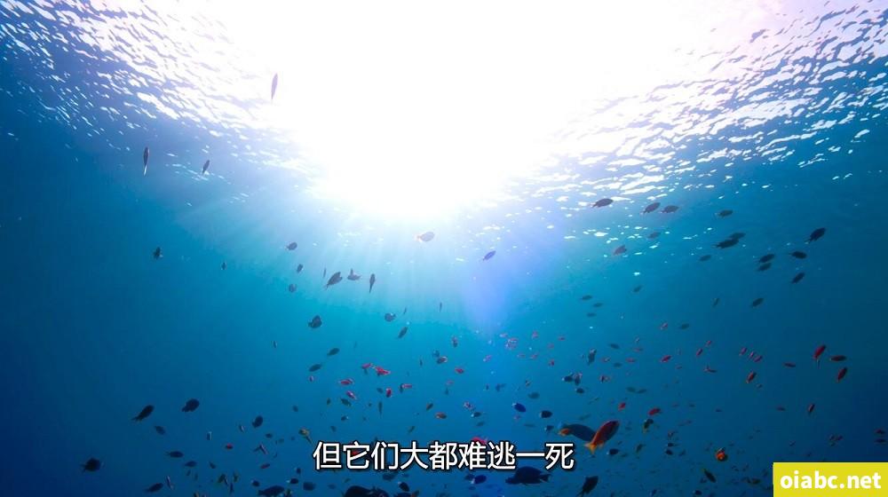 秀人网网红模特萌琪琪露脸拍摄剪辑收藏版第二弹剧照2